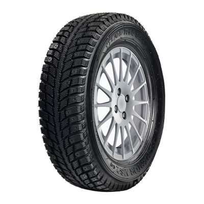 175/65R14 Q Reg. Raptor MS2 Soft Reinforced Side -16 in the group TIRES / MOTORSPORT TIRES at TH Pettersson AB (200-67164)