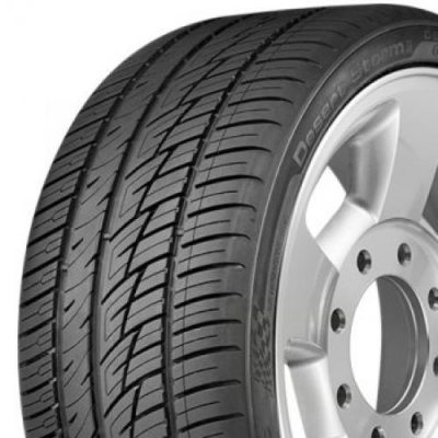 275/30R19 96W DELINTE DS8 in the group TIRES / SUMMER TIRES at TH Pettersson AB (201-1927530DEL011626)