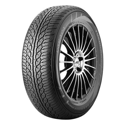  in the group TIRES / SUMMER TIRES at TH Pettersson AB (237-305452205)