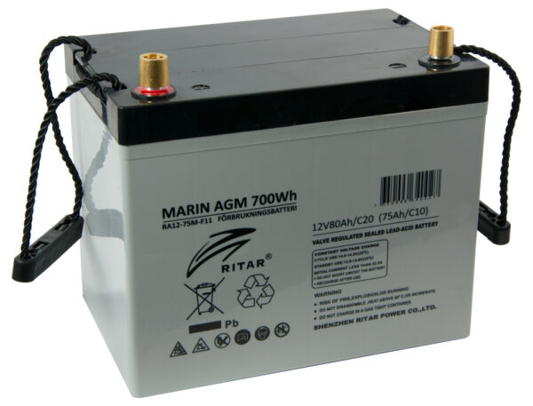 Ritar Battery AGM 12V 100Ah DC12-100-F12