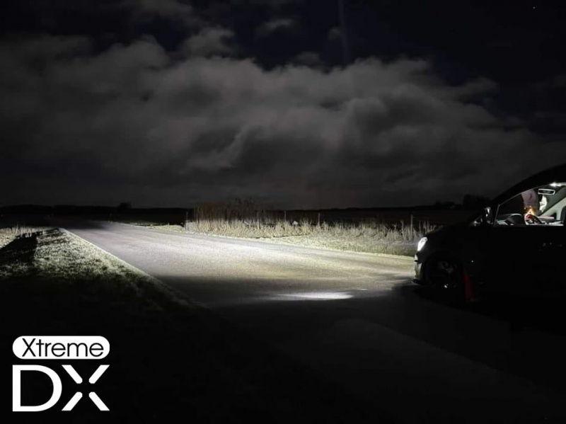 Philips Halogen H1 Vision 12V